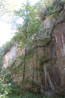 an1_008549.jpg