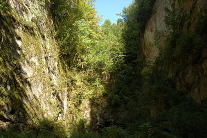 an1_008550.jpg