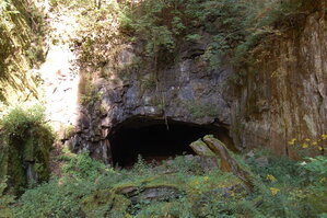 an1_008551.jpg