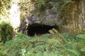 an1_008552.jpg