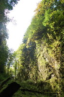 an1_008553.jpg