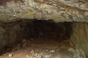 an1_008555.jpg