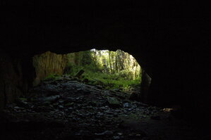 an1_008558.jpg