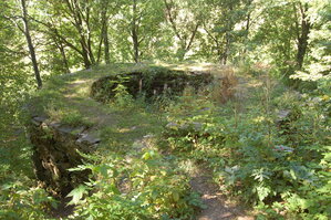 an1_008560.jpg
