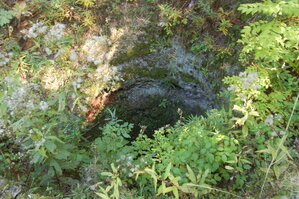 an1_008561.jpg