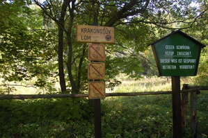 an1_008567.jpg