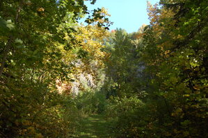 an1_008571.jpg