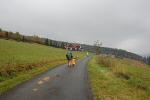 an1_008611.jpg