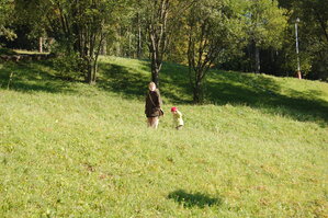 an1_008656.jpg