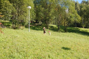 an1_008657.jpg