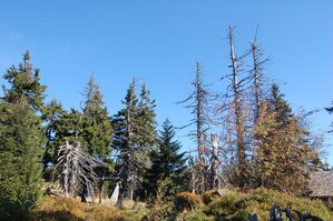 an1_008670.jpg