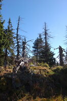 an1_008671.jpg