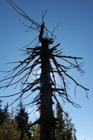 an1_008674.jpg