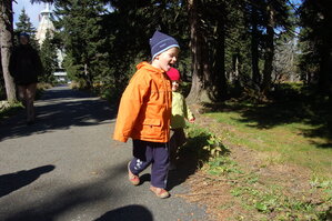 an1_008689.jpg