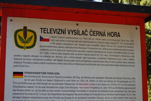 an1_008690.jpg