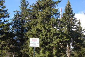 an1_008691.jpg