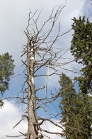 an1_008702.jpg