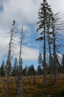 an1_008703.jpg