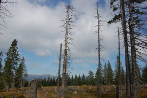 an1_008704.jpg