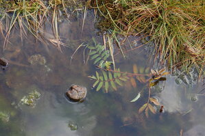 an1_008707.jpg