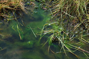 an1_008712.jpg