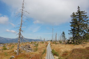 an1_008714.jpg