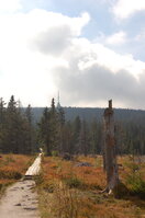an1_008719.jpg