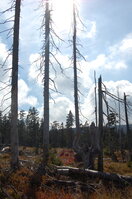 an1_008720.jpg