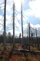 an1_008721.jpg