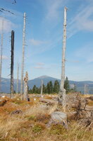 an1_008724.jpg