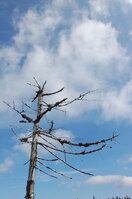 an1_008728.jpg