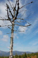 an1_008729.jpg