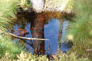 an1_008733.jpg