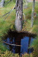 an1_008735.jpg