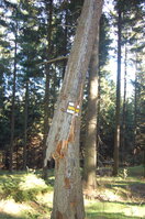 an1_008749.jpg