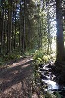 an1_008751.jpg