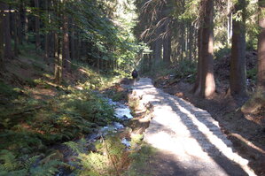 an1_008753.jpg
