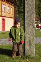 an1_008768.jpg