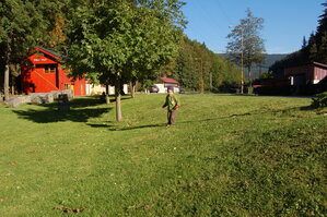 an1_008773.jpg