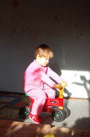 an1_008782.jpg