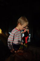 an1_008785.jpg