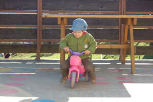 an1_008808.jpg