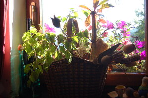 an1_008818.jpg