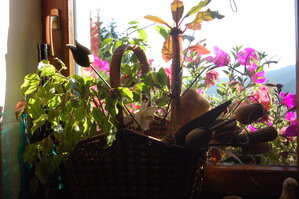 an1_008819.jpg