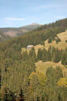 an1_008839.jpg
