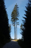 an1_008841.jpg