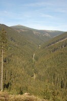 an1_008842.jpg