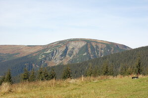 an1_008849.jpg