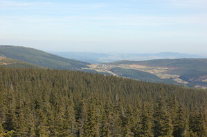 an1_008859.jpg