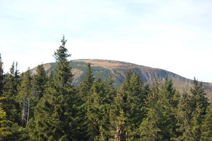 an1_008868.jpg